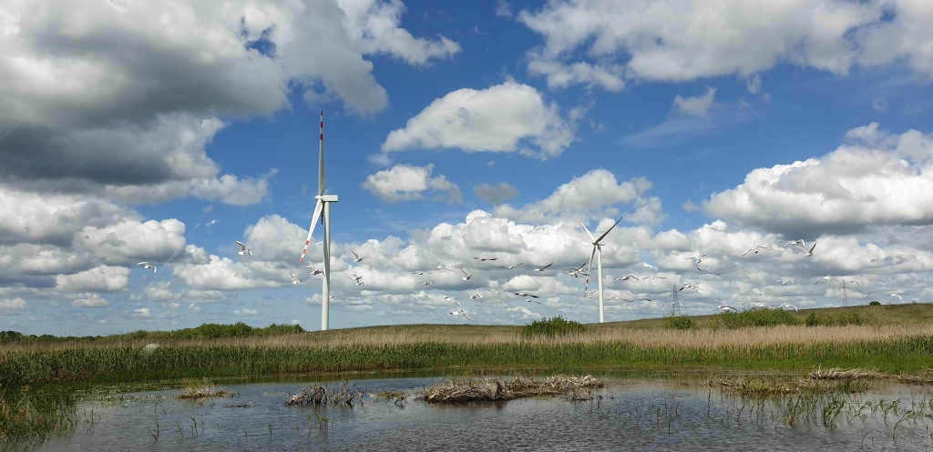 German, Danish firms finance Polish wind power projects via European Energy